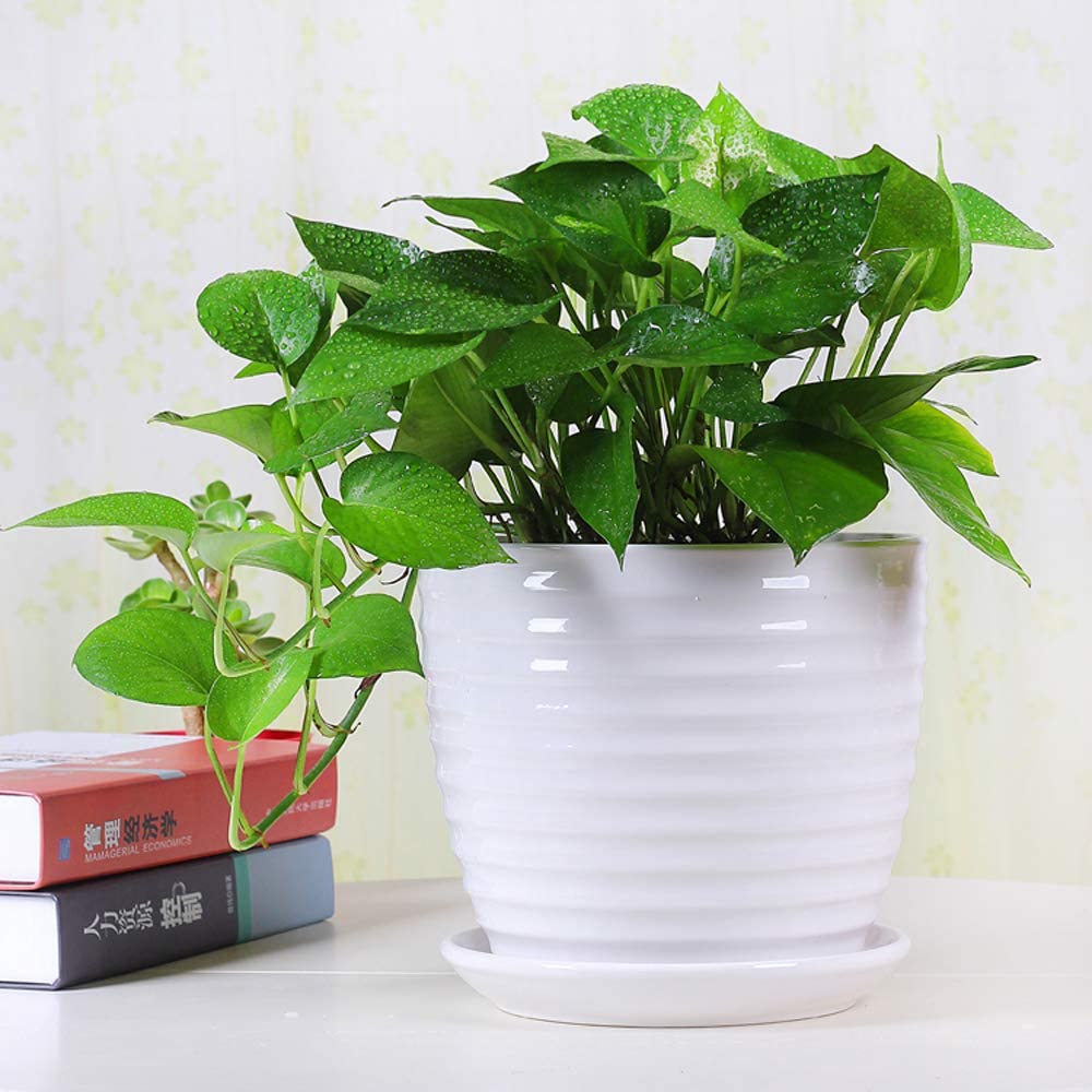 Round Modern Ceramic Garden Flower Pots White Succulent Cactus Plant Pots, Set of 3