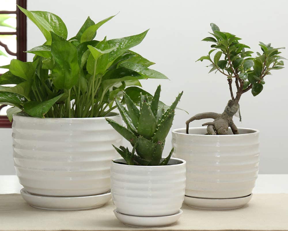 Round Modern Ceramic Garden Flower Pots White Succulent Cactus Plant Pots, Set of 3