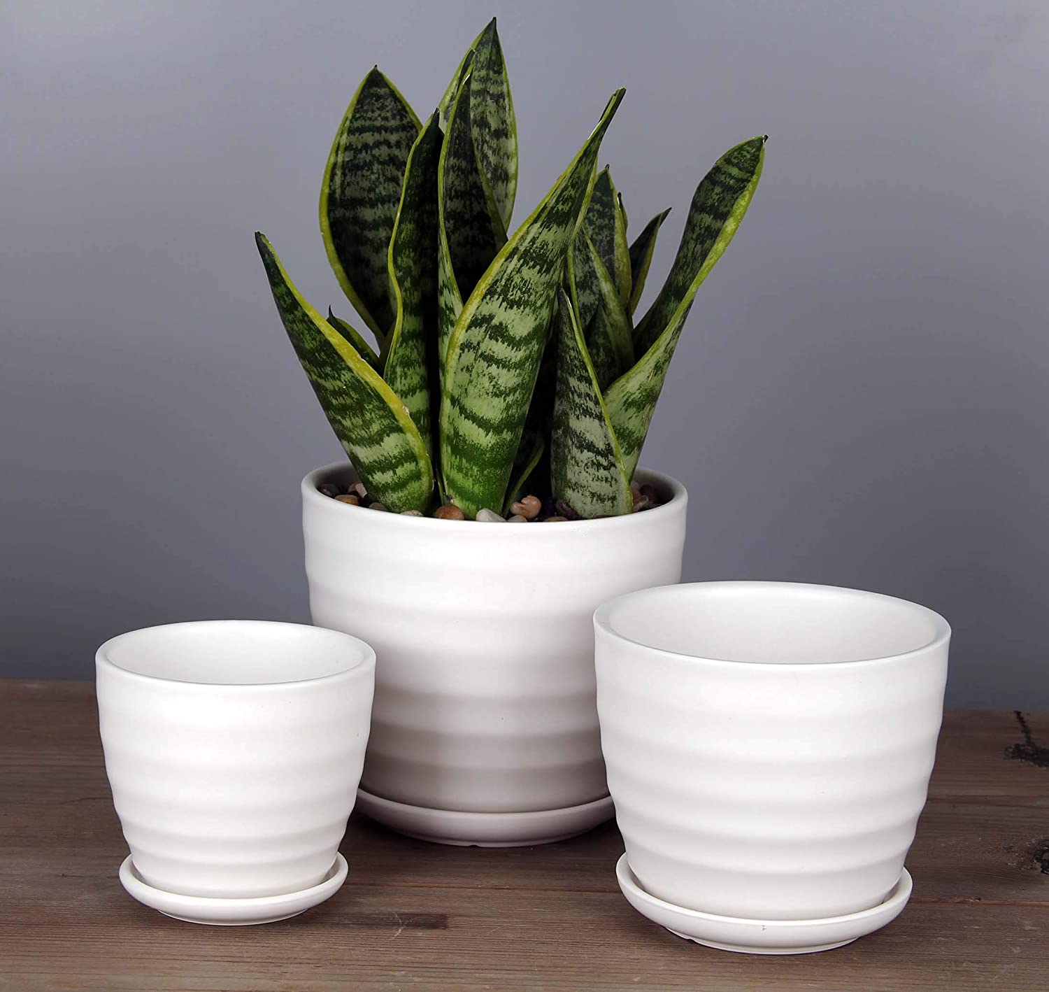 Round Modern Ceramic Garden Flower Pots White Succulent Cactus Plant Pots, Set of 3