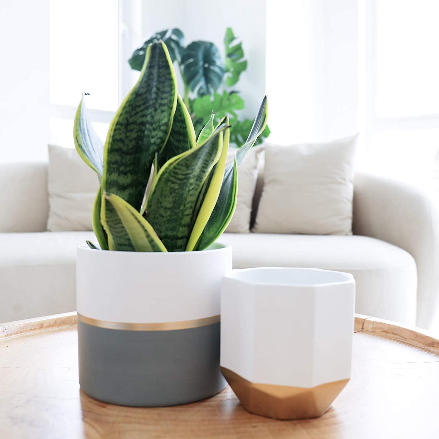 White Ceramic Flower Pot Garden Planters 6.7 + 5.4 Inch Indoor, Plant Containers with Gold and Grey Detailing