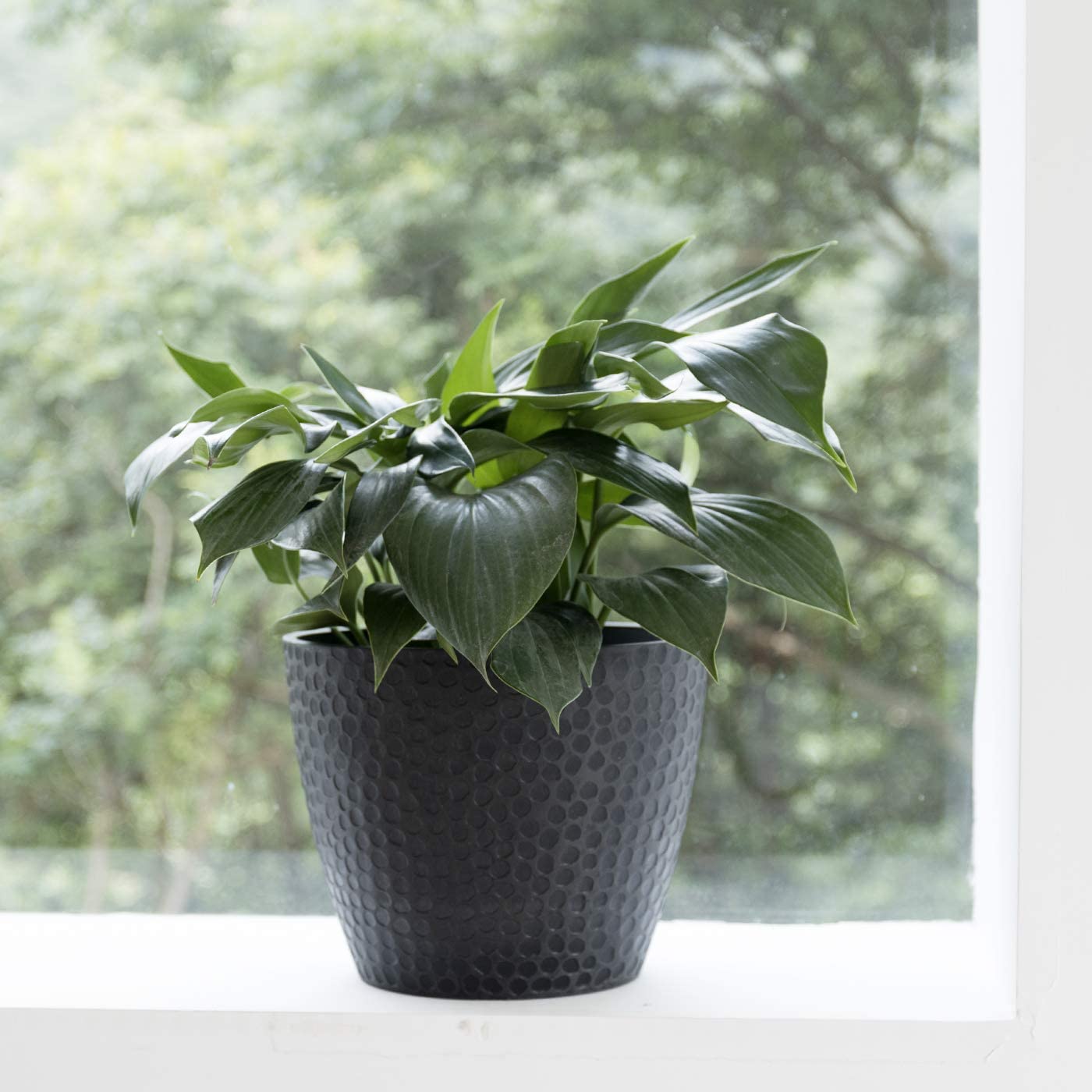 Outdoor Indoor Planters Flower Pots - 9.4 Inch Planter Pot Containers, Plant Pots, Black, Honeycomb