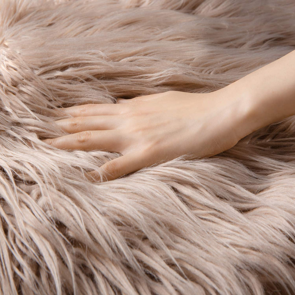 Ashler Faux Fur Beige Rectangle Area Rug Indoor Ultra Soft Fluffy Bedroom Floor Sofa Living Room 2 x 3 Feet