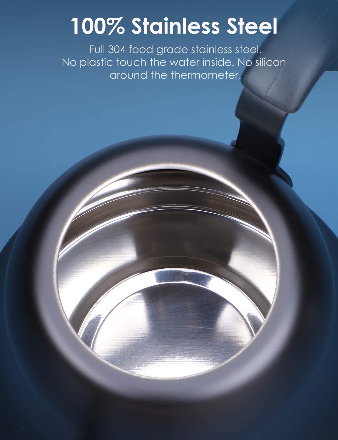 Tea Kettle with Thermometer for Stove Top Gooseneck Kettle, Small Pour Over Coffee Kettle, Goose Neck Tea Pot Stovetop Teapot, Hot Water Heater Boiler for Camping, Home & Kitchen, Matte Black