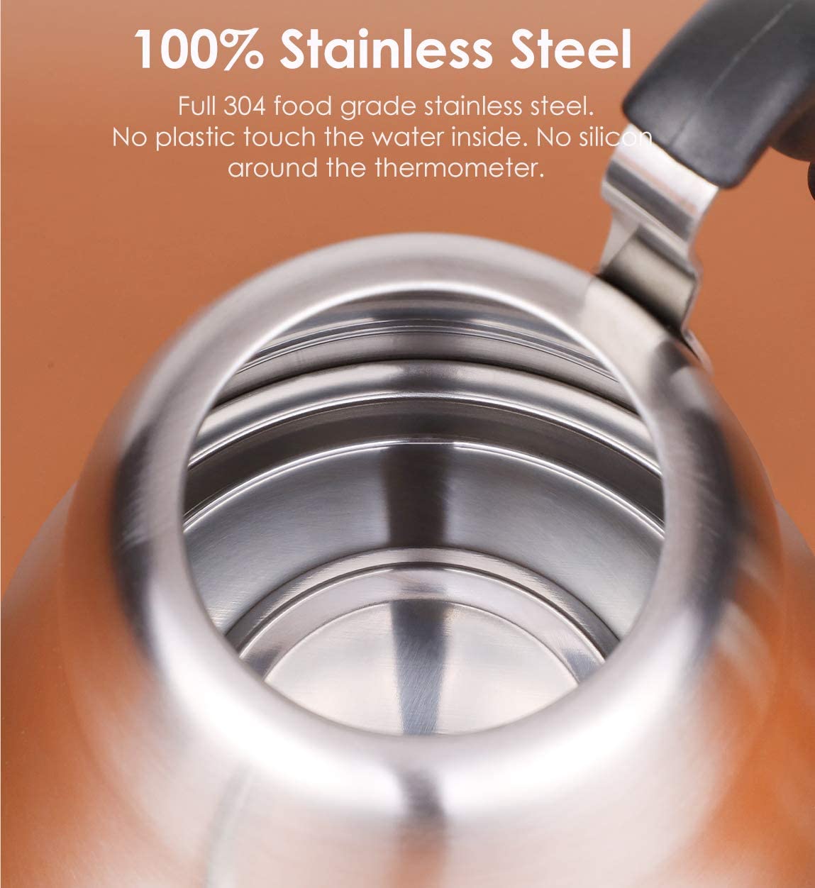 Tea Kettle with Thermometer for Stove Top Gooseneck Kettle, Small Pour Over Coffee Kettle, Goose Neck Tea Pot Stovetop Teapot, Hot Water Heater for Camping, Home & Kitchen, Stainless Steel