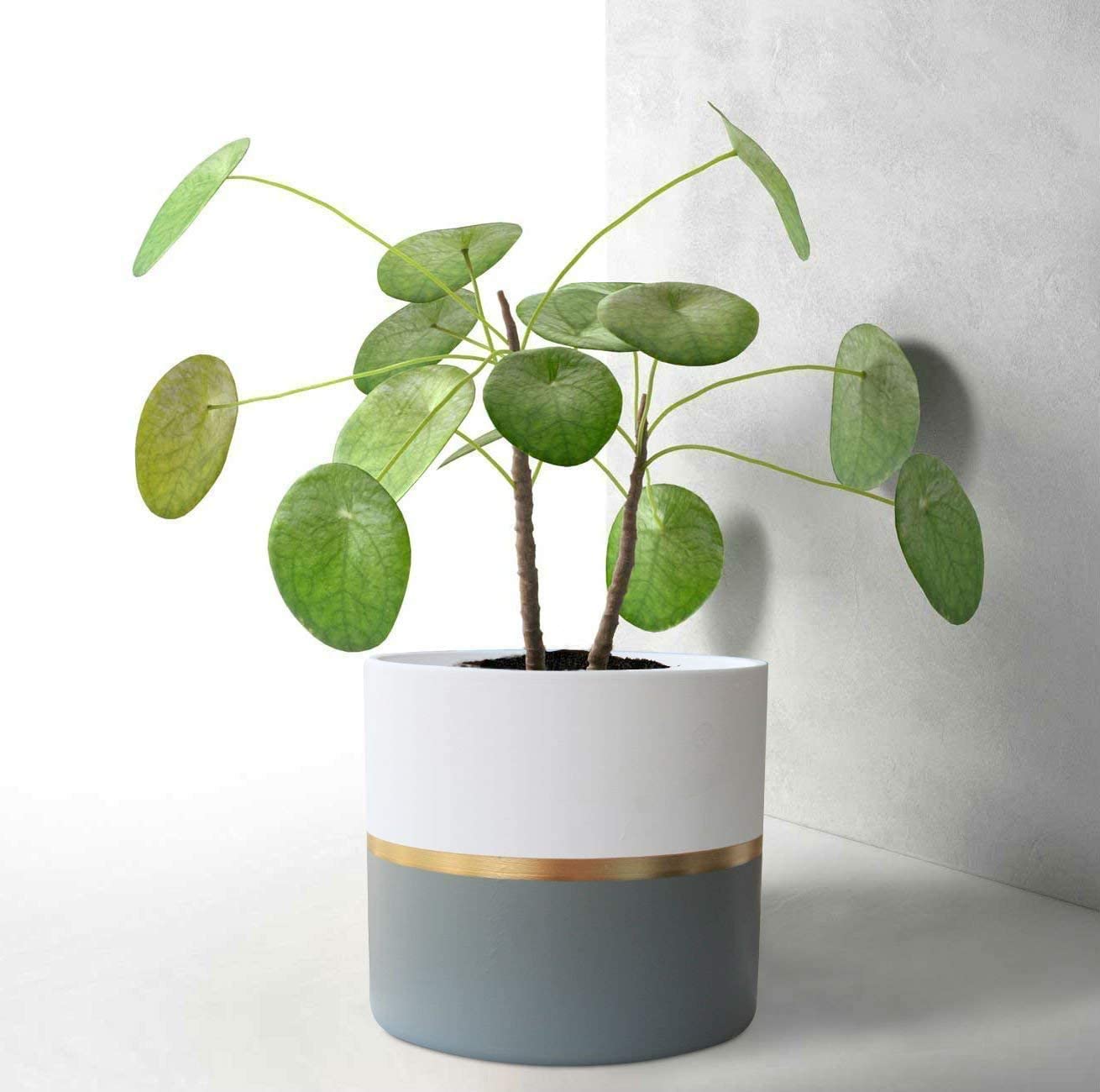 White Ceramic Flower Pot Garden Planters 6.7 + 5.4 Inch Indoor, Plant Containers with Gold and Grey Detailing